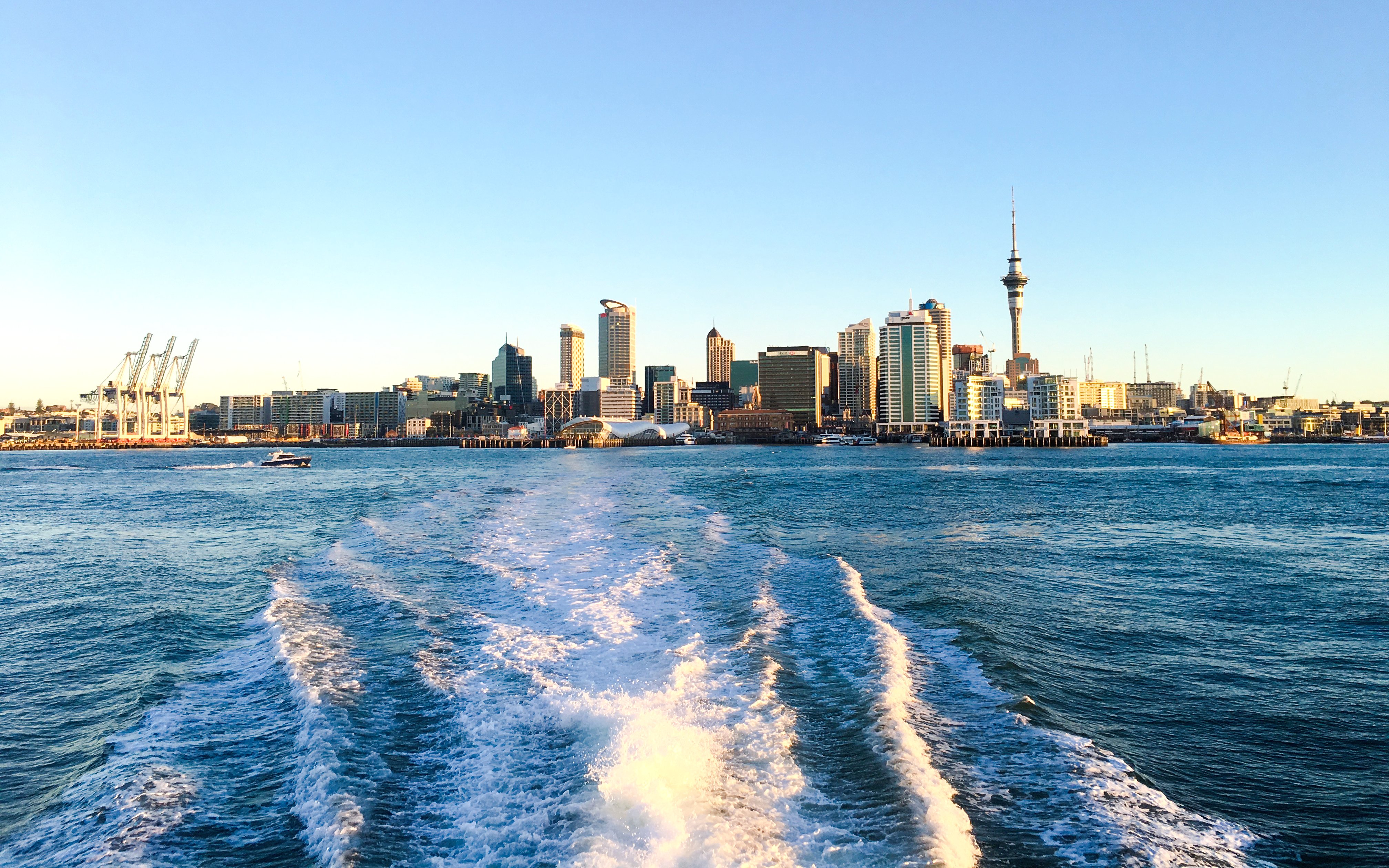 Auckland skyline viewed from the harbor with Sky Tower and city buildings.