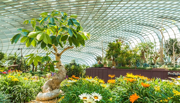 Greenhouse Flower Dome in Singapore