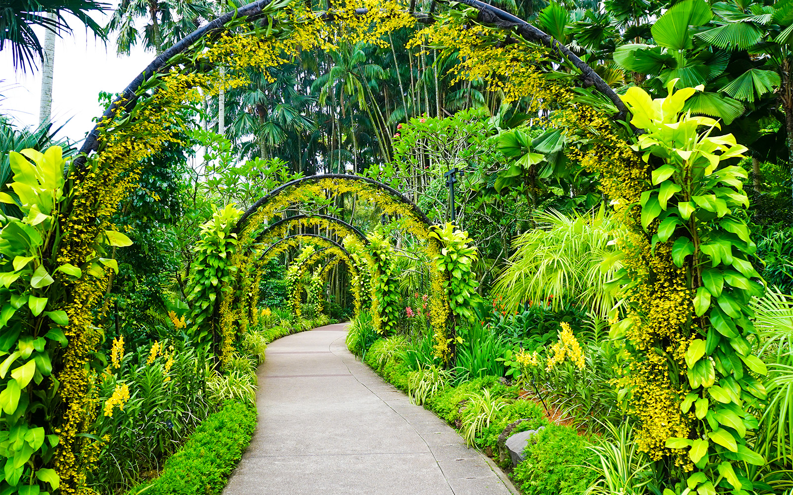 Jardin botanique de Singapour