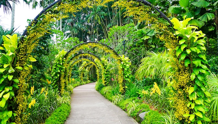 Singapore Botanic Gardens