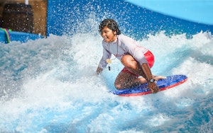 Parc aquatique Wild Wadi: Billets