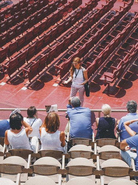 Tour group listening to a guide inside Verona Arena.