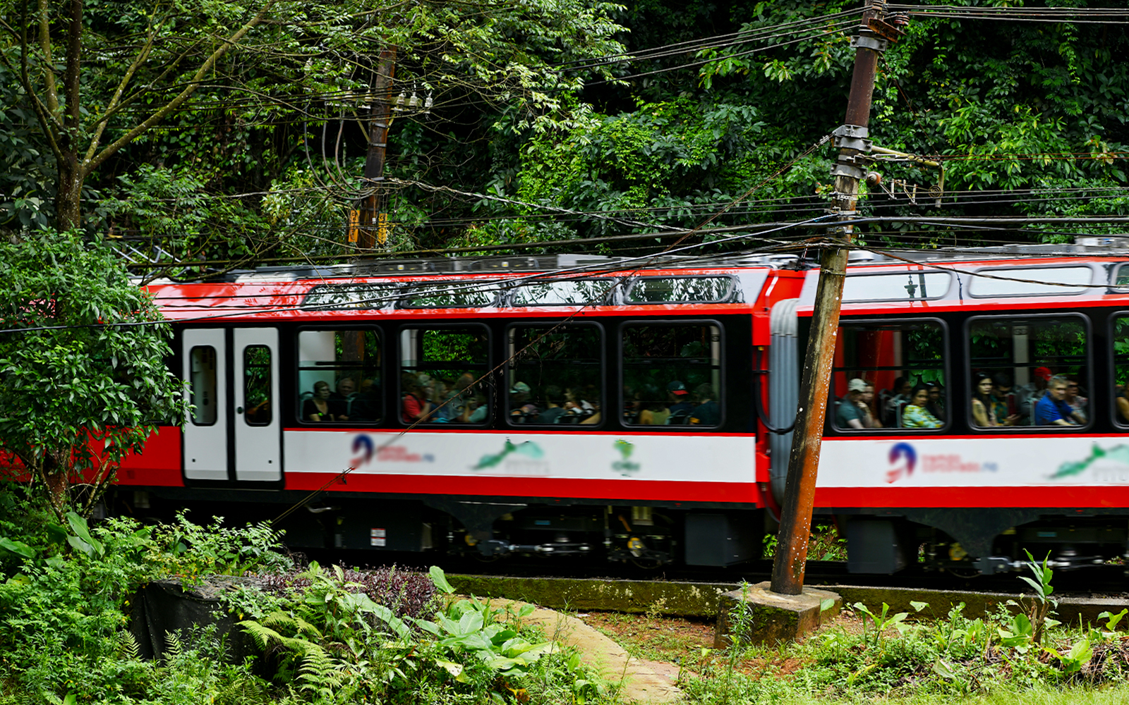 Train journey through lush forest near Christ the Redeemer, Rio de Janeiro.