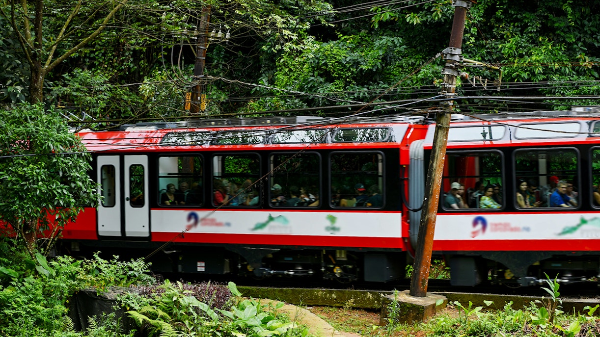 Train journey through lush forest near Christ the Redeemer, Rio de Janeiro.