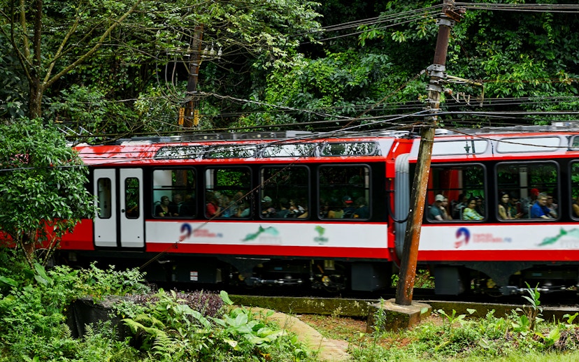 Train journey through lush forest near Christ the Redeemer, Rio de Janeiro.