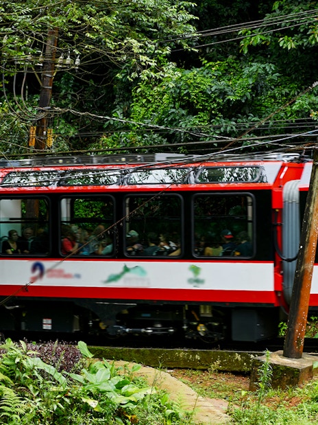 Train journey through lush forest near Christ the Redeemer, Rio de Janeiro.