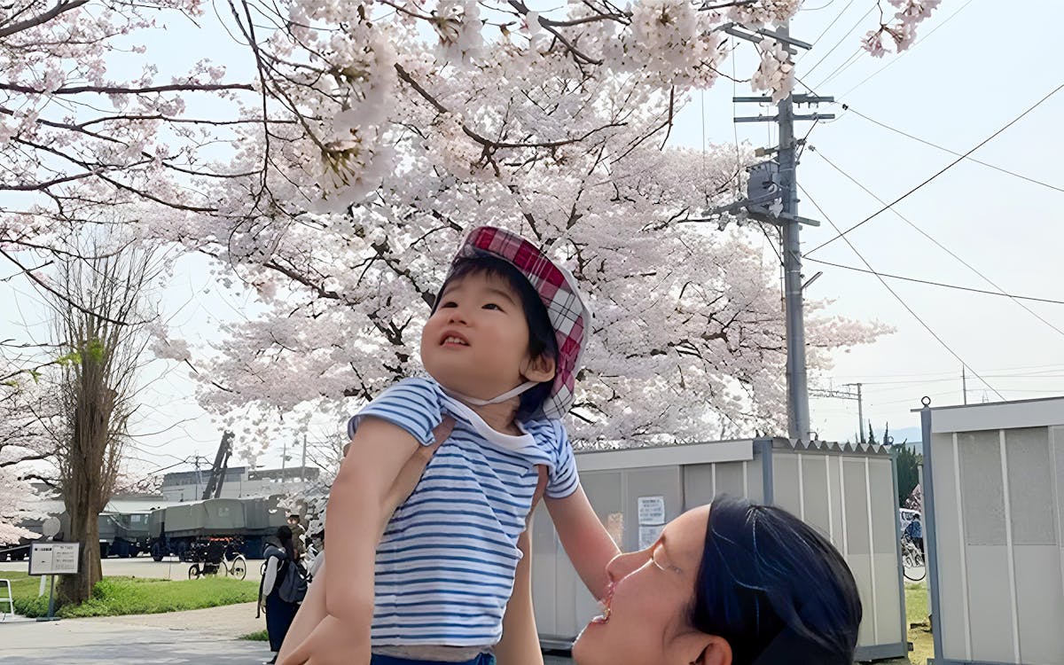 2-hour cherry blossom family picnic in kyoto-4 2-hour cherry blossom family picnic in kyoto-4