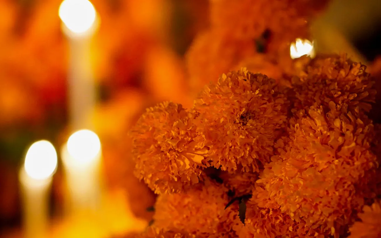 Marigold flowers and candles at Mixquic Day of the Dead celebration.