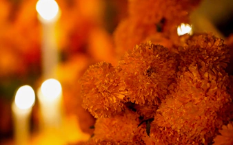 Marigold flowers and candles at Mixquic Day of the Dead celebration.