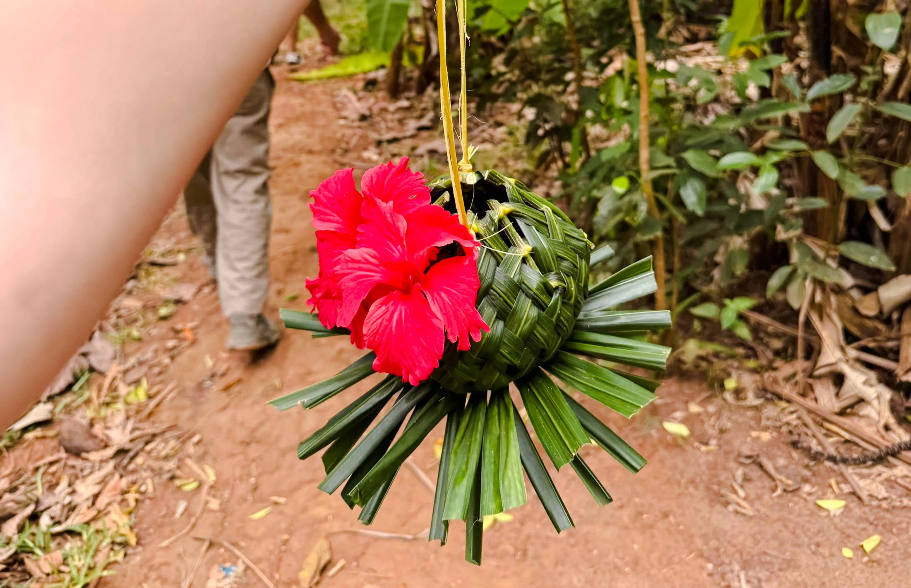 Zanzibar: Day Jozan Forest, Spice Farm, Nature and Savor Tour + lunch