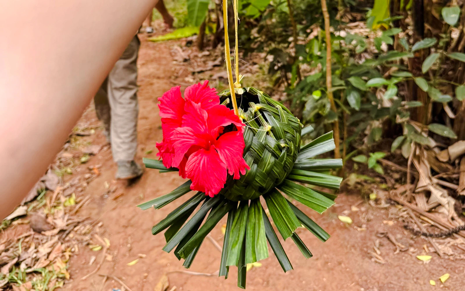 From Zanzibar: Jozani Forest & Spice Farm Tour with Lunch (Product 54350)