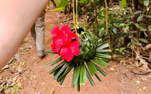 from zanzibar: jozani forest & spice farm tour with lunch-1