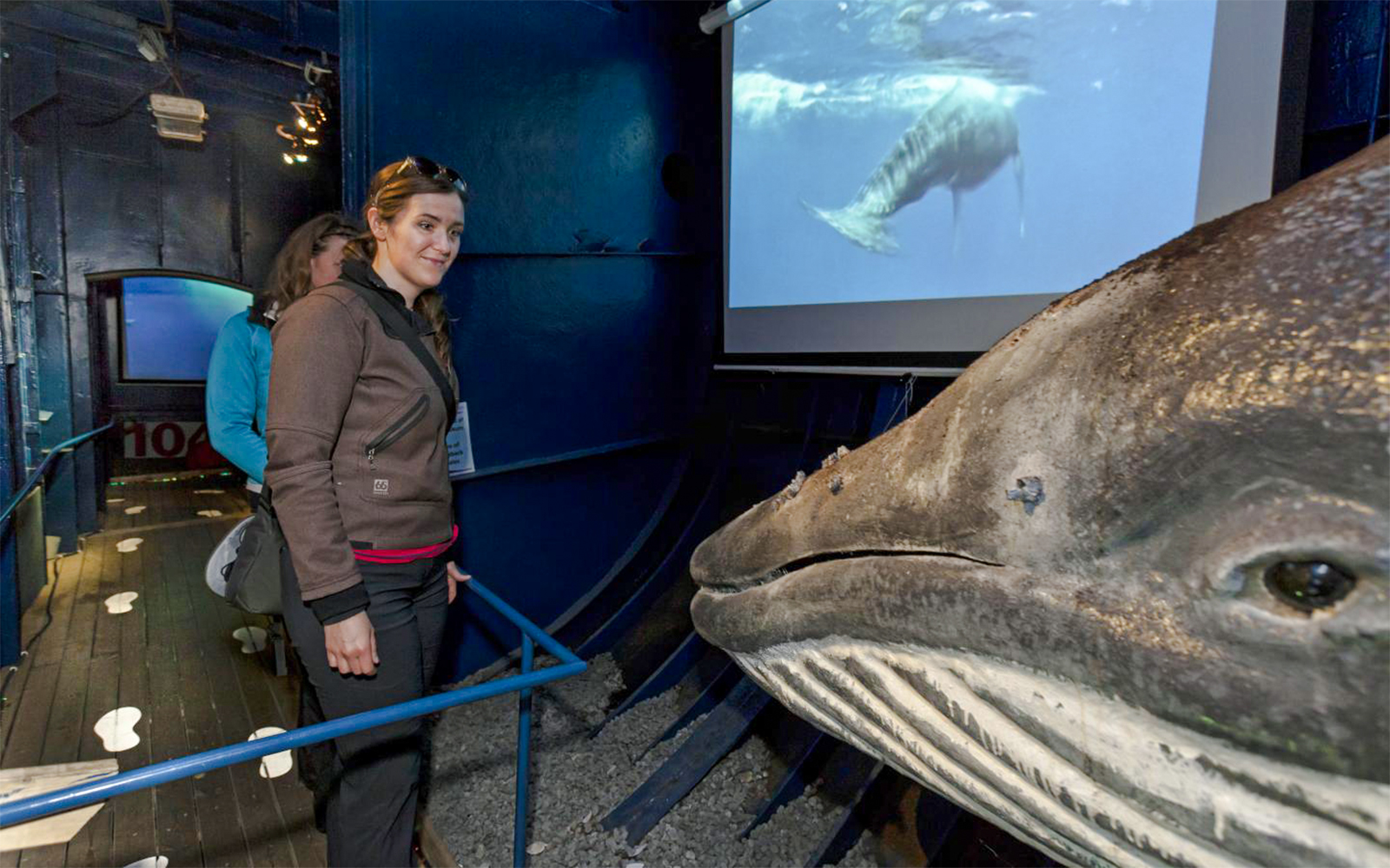 Visitor at Reykjavik whale exhibit with whale model and video display.