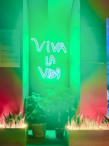 frida kahlo: die packende biographie-3