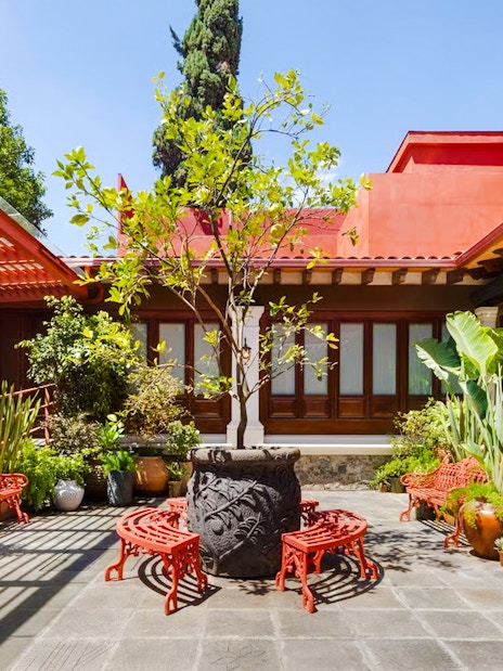 Courtyard of Museo Casa Kahlo with red benches and lush plants, Coyoacán, Mexico City.