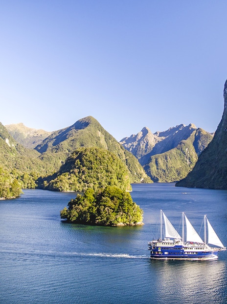 Cruise ship sailing through Doubtful Sound surrounded by lush green mountains.