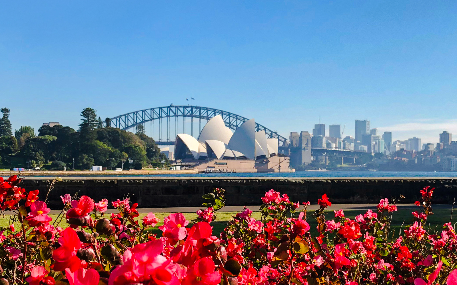 Sydney Opera House and Harbour Bridge with vibrant flowers in the foreground.