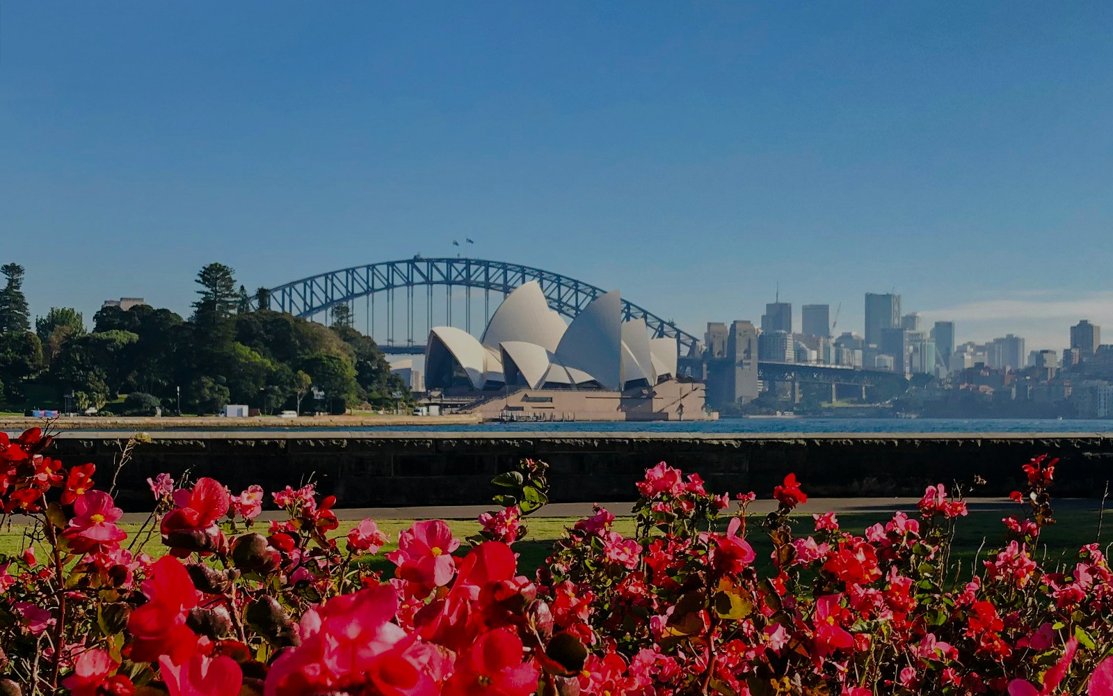 Sydney Opera House and Harbour Bridge with vibrant flowers in the foreground.