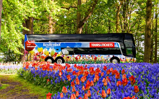 Keukenhof tour bus surrounded by vibrant tulips and hyacinths in a lush garden.