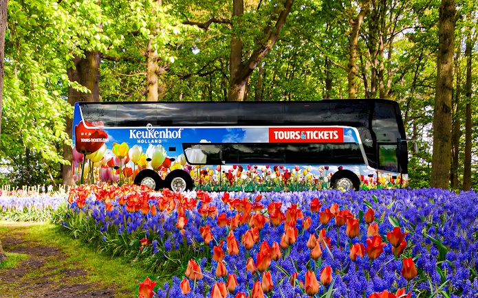 Keukenhof tour bus surrounded by vibrant tulips and hyacinths in a lush garden.