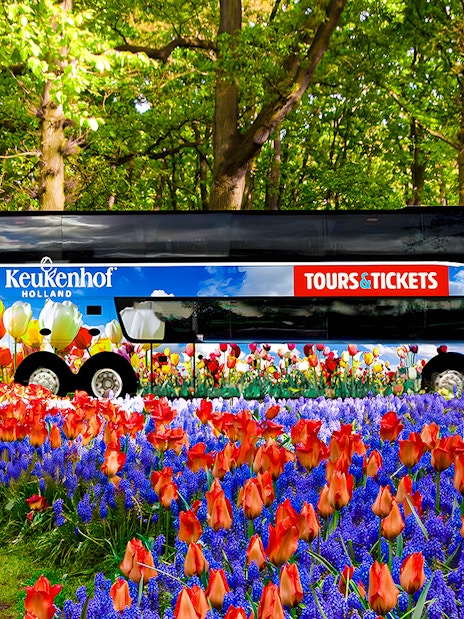 Keukenhof tour bus surrounded by vibrant tulips and hyacinths in a lush garden.