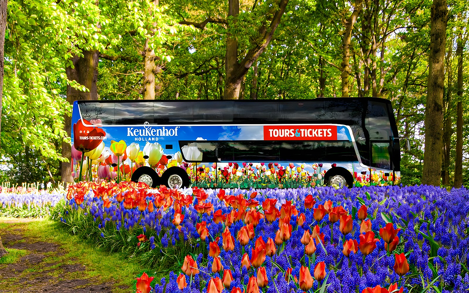 Keukenhof tour bus surrounded by vibrant tulips and hyacinths in a lush garden.