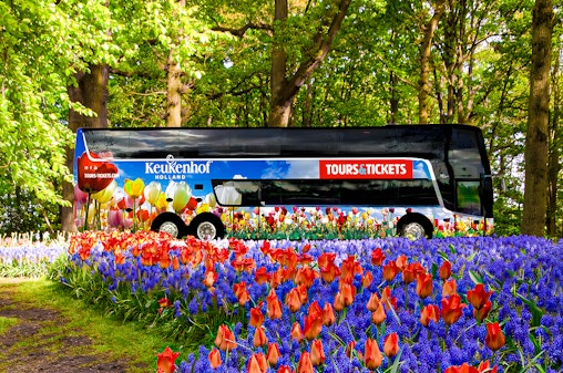 Keukenhof Entry Tickets with Luxury Bus Transfers from Amsterdam