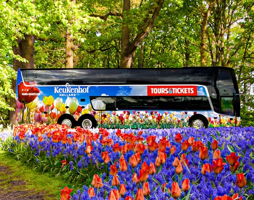Keukenhof tour bus surrounded by vibrant tulips and hyacinths in a lush garden.