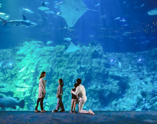 Ocean Park Hong Kong - Aqua City