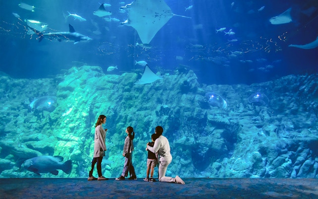 Ocean Park Hong Kong - Aqua City