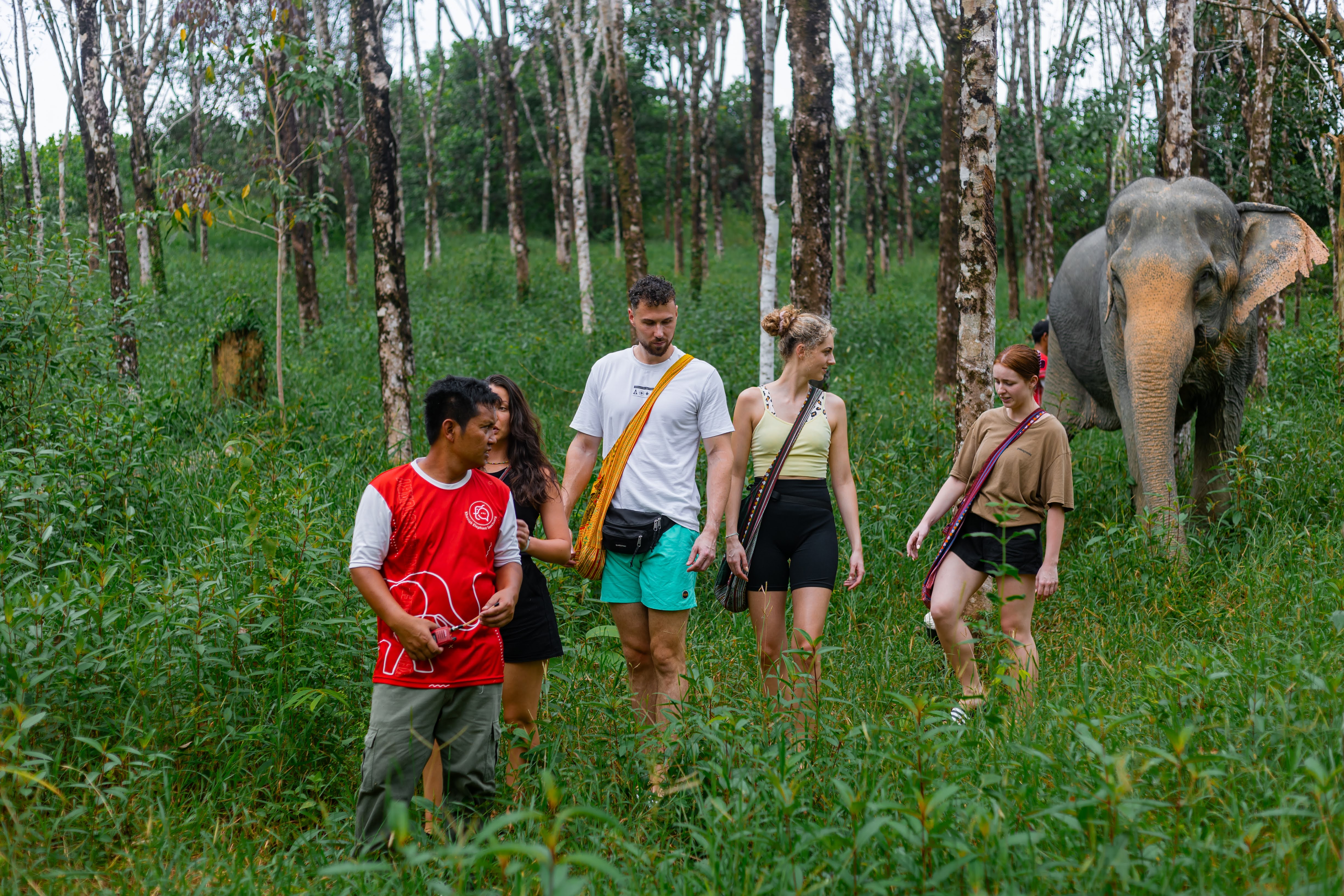 People walking with an elephant at Khaolak Ethical Elephant Sanctuary.