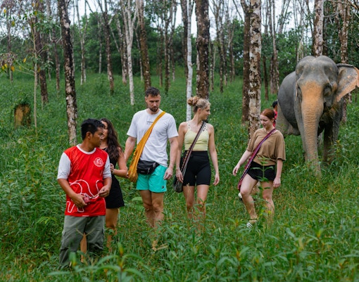 People walking with an elephant at Khaolak Ethical Elephant Sanctuary.