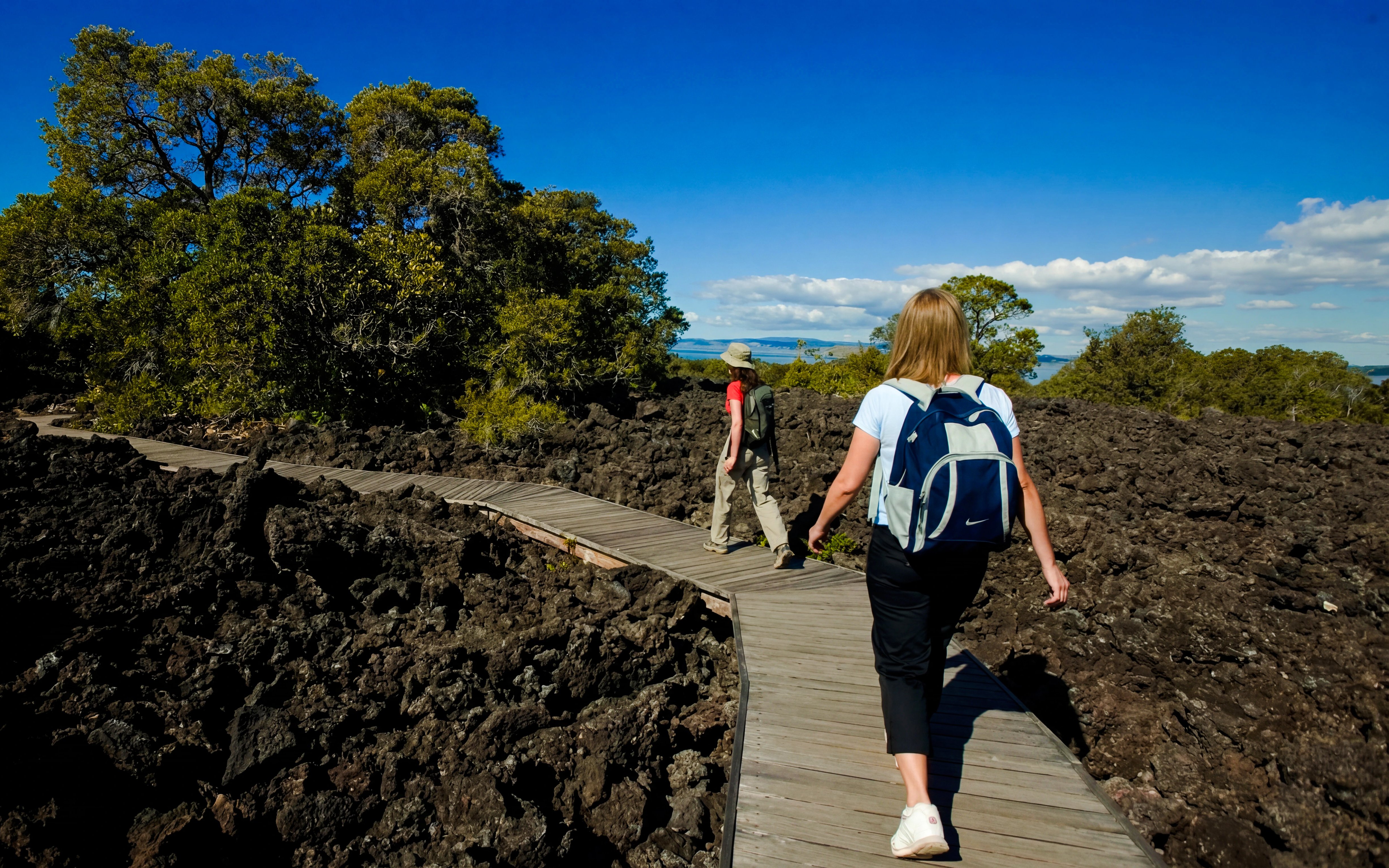 Hikers walking on a wooden path through volcanic terrain on Rangitoto Island, Auckland.