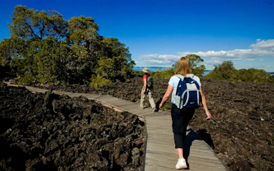 Hikers walking on a wooden path through volcanic terrain on Rangitoto Island, Auckland.