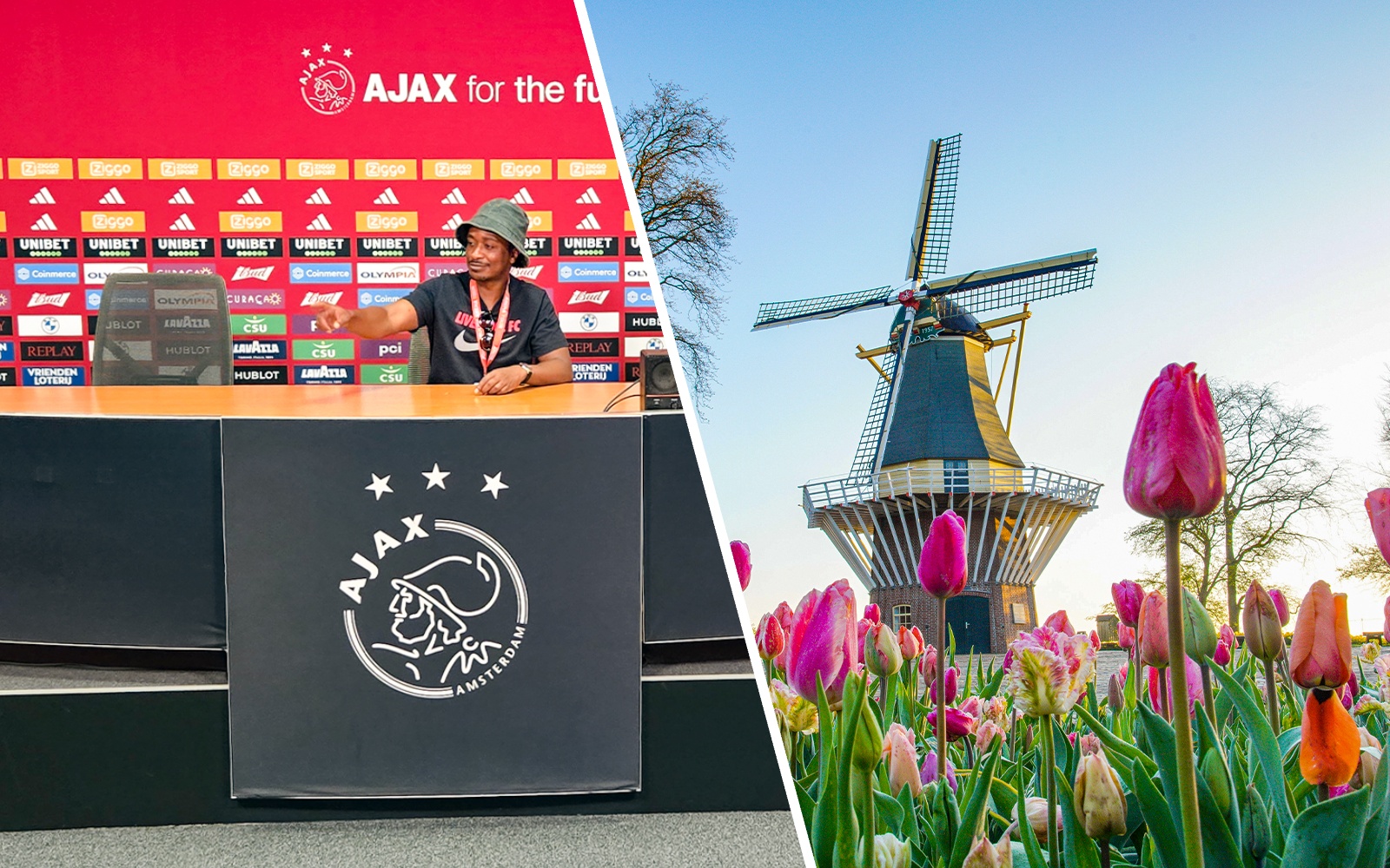 Tulips blooming with a windmill in Keukenhof Gardens, Netherlands.