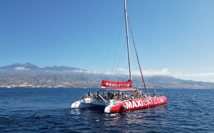 Tourists on a catamaran sailing towards Tenerife waters for whale and dolphin watching.