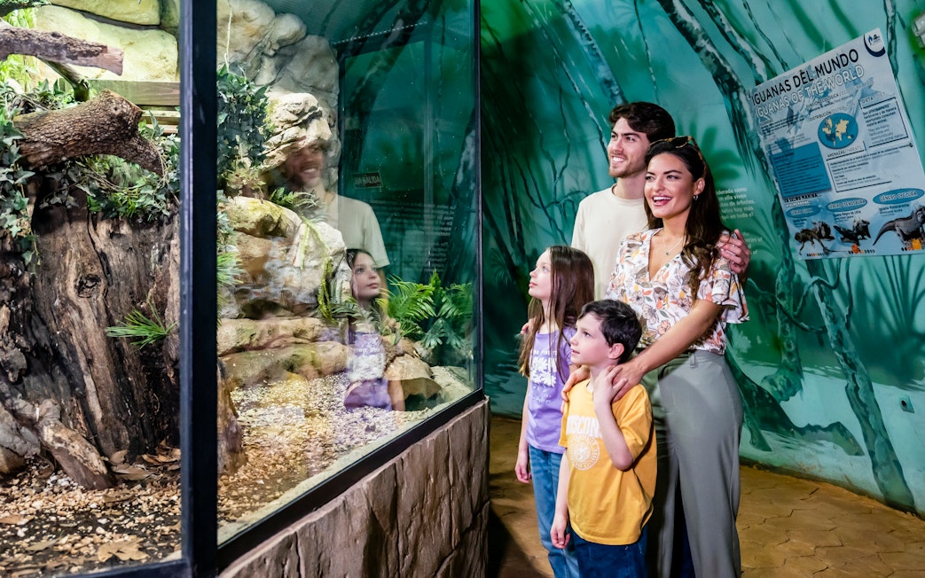Visitors with kids observing Amazon aquarium at Selwo Marina.