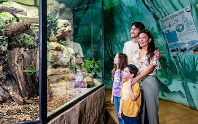 Visitors with kids observing Amazon aquarium at Selwo Marina.