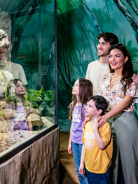 Visitors with kids observing Amazon aquarium at Selwo Marina.