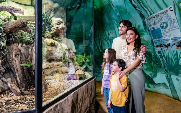Visitors with kids observing Amazon aquarium at Selwo Marina.