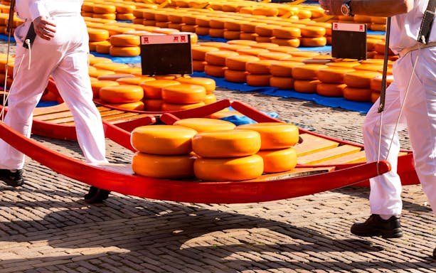 Cheese carriers transporting wheels at Alkmaar cheese market, Netherlands.
