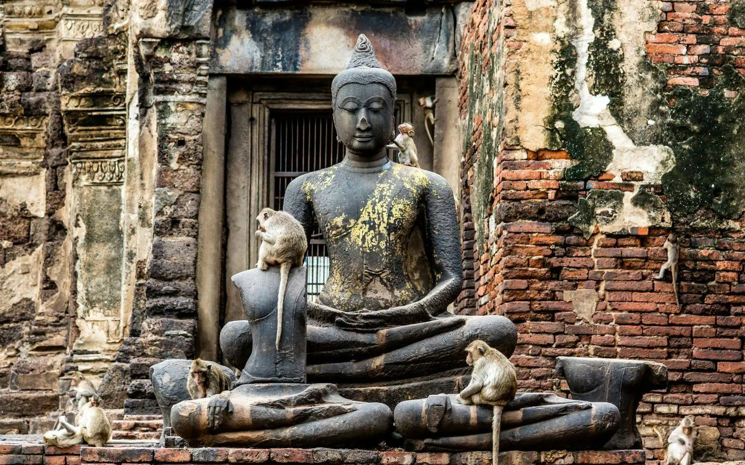 Monkeys climbing on ancient Buddha statue at Lopburi Monkey Temple, Thailand.