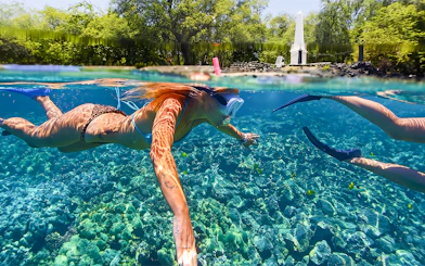 Snorkeler exploring coral reef in Kealakekua Bay with Captain Cook Monument in background.