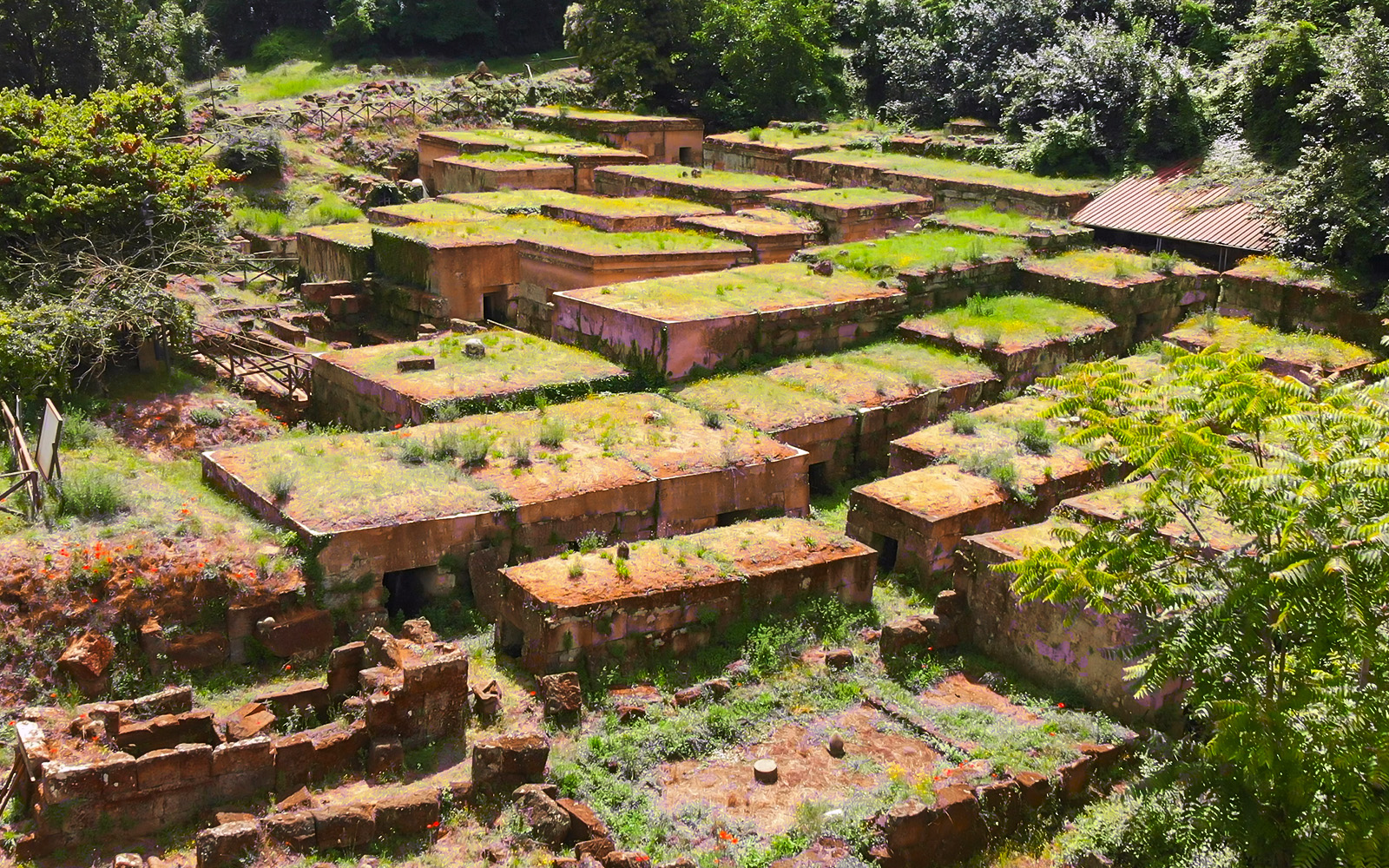Ancient Etruscan ruins in Orvieto, Italy, surrounded by greenery.