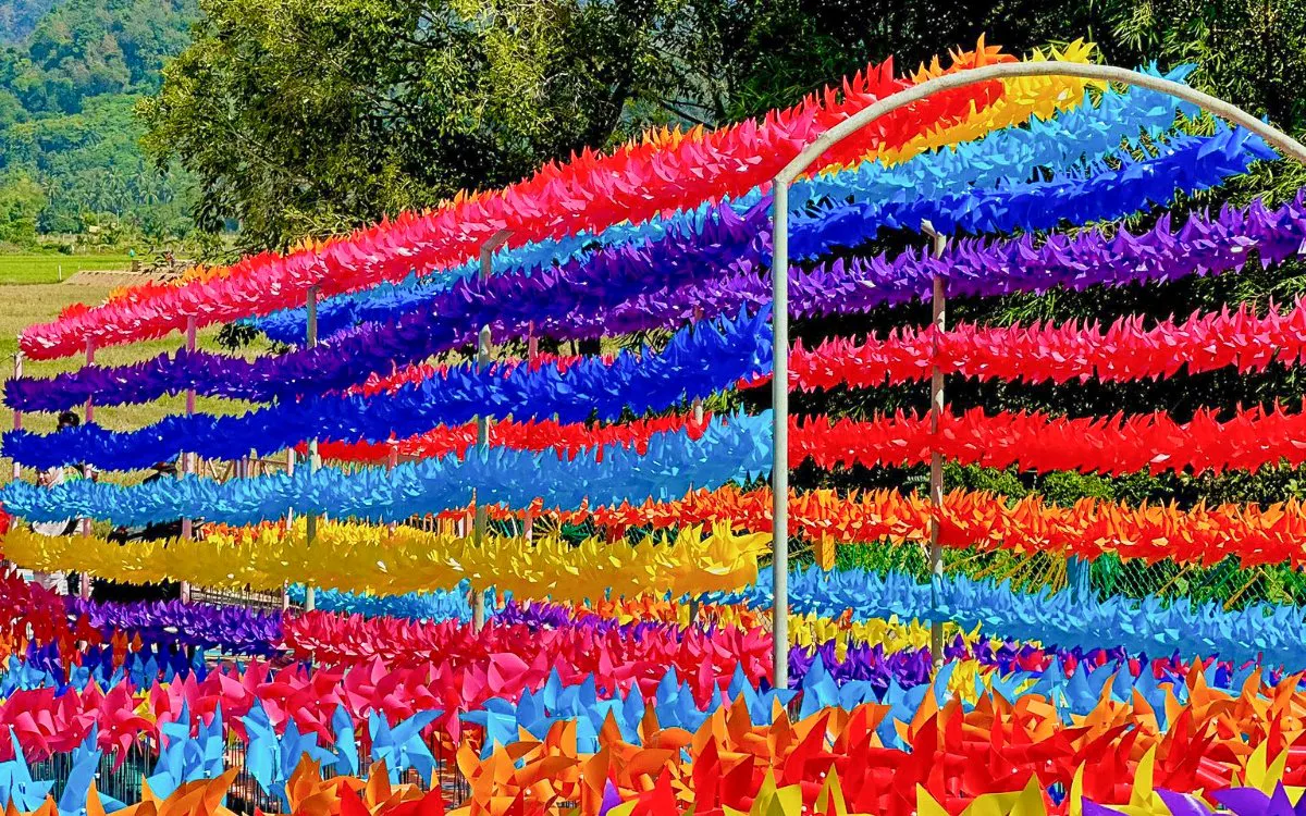 Colorful pinwheels at De Windmill Selfie Park, vibrant outdoor display.