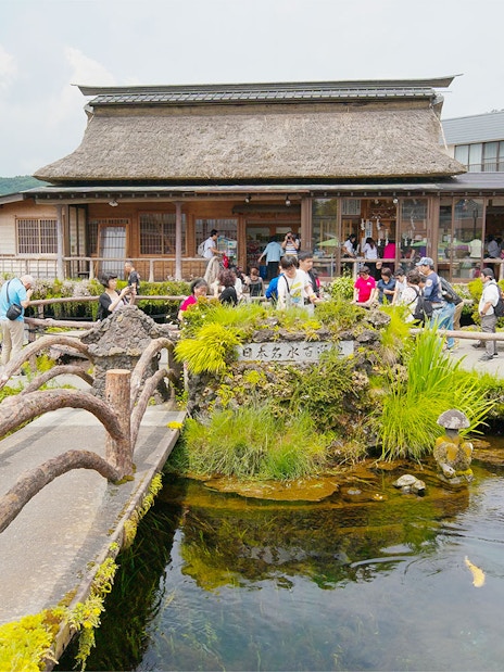 Visitors exploring Oshino Hakkai's sacred ponds with traditional Japanese architecture in the background.