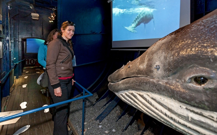 Visitor exploring whale exhibit on a converted fishing vessel at Reykjavik's floating Wildlife Exhibition.