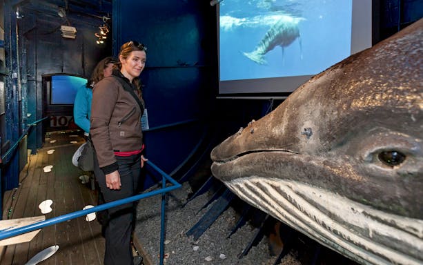 Visitor exploring whale exhibit on a converted fishing vessel at Reykjavik's floating Wildlife Exhibition.