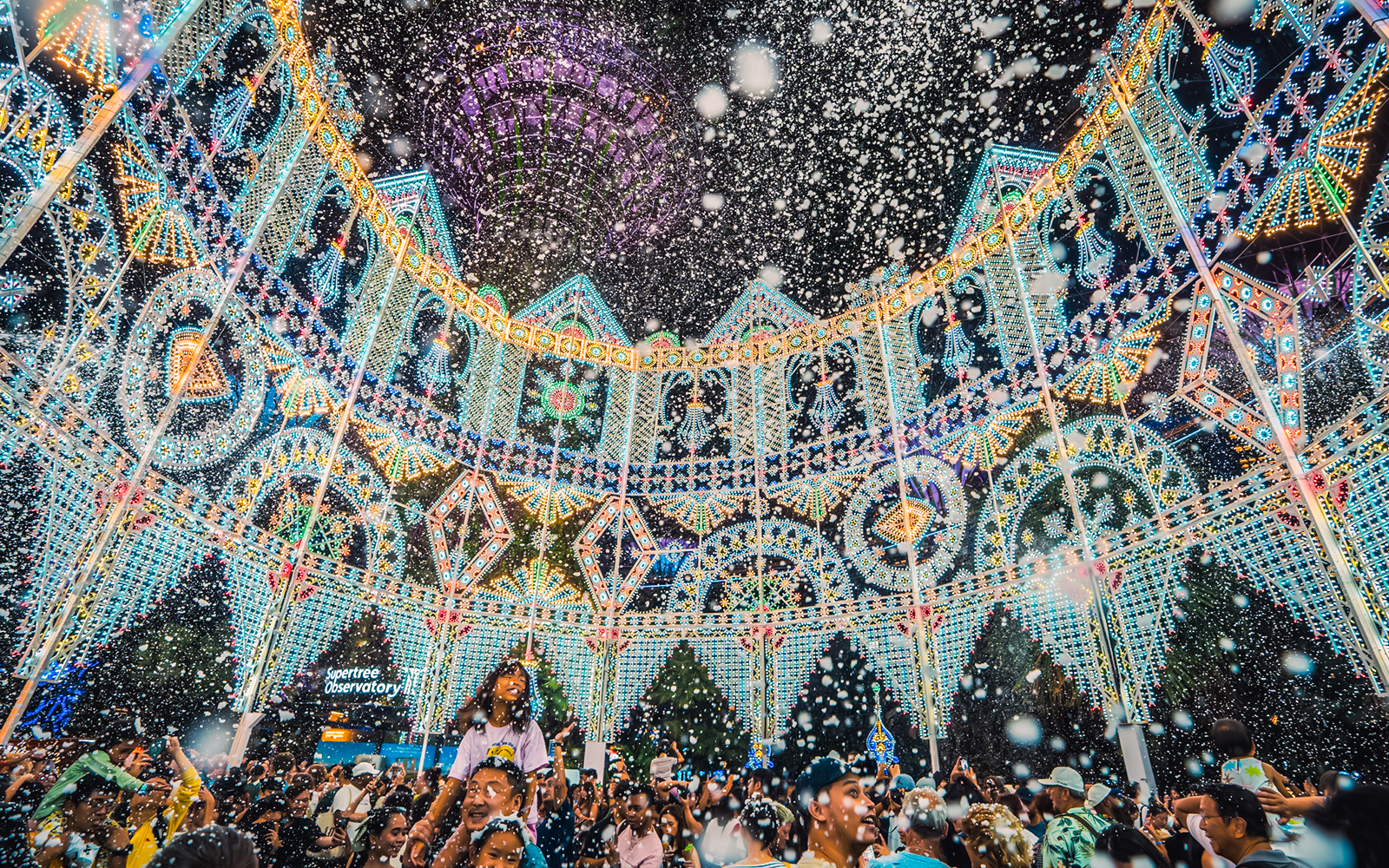 Crowd enjoying Garden Rhapsody & Blizzard Time at Gardens by the Bay, Christmas lights display.