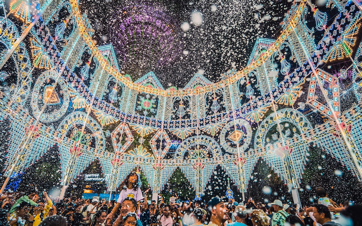 Crowd enjoying Garden Rhapsody & Blizzard Time at Gardens by the Bay, Christmas lights display.